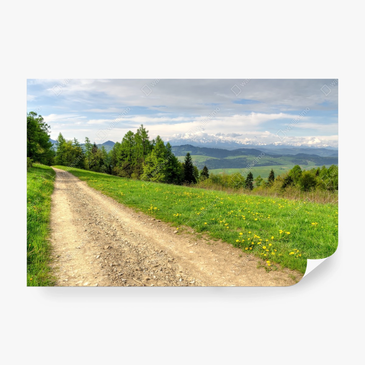 Fototapete Gorce frühlingspfad – Pixers®