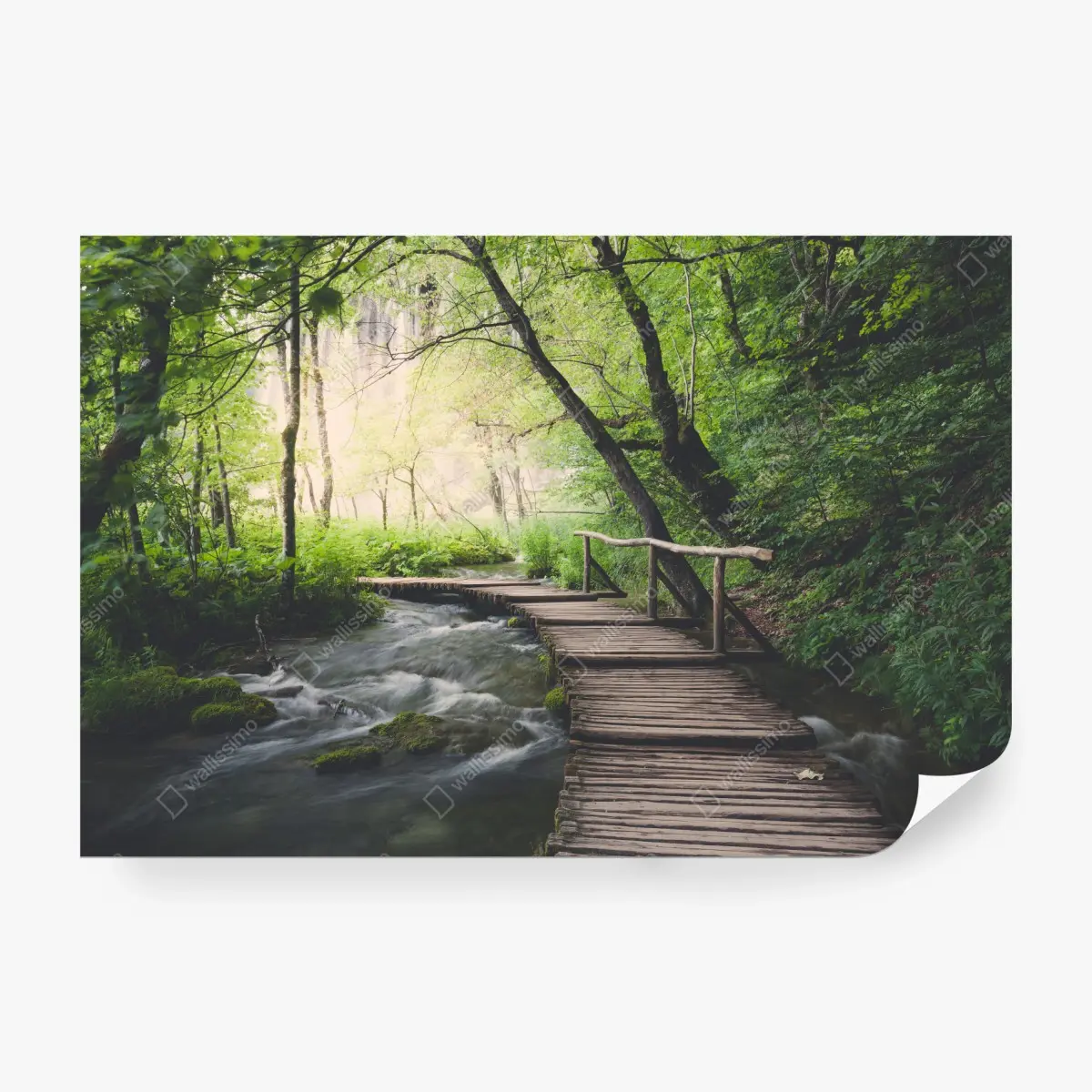 Fototapete ruhiger hölzerner steg durch grünen wald – Pixers®