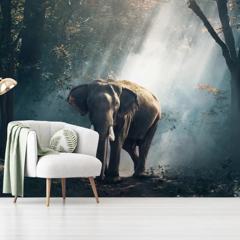 Fototapete majestätischer elefant im sonnenlichtdurchfluteten wald