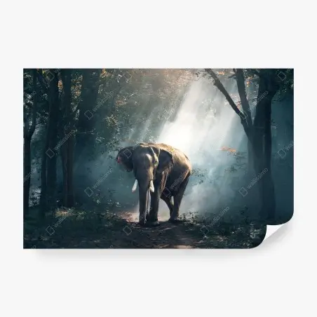 Fototapete majestätischer elefant im sonnenlichtdurchfluteten wald – Pixers®