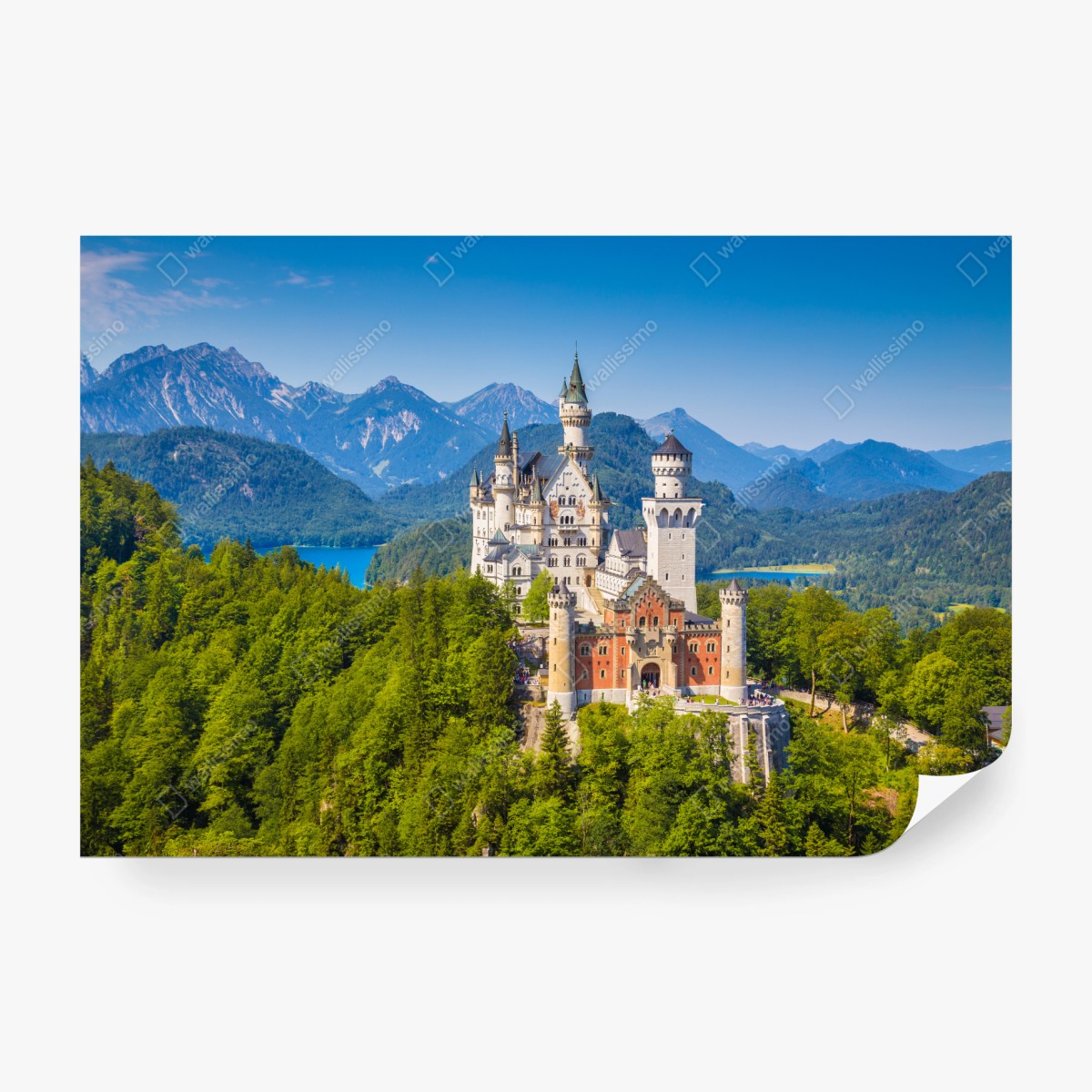 Fototapete schloss Neuschwanstein in alpiner landschaft – Pixers®