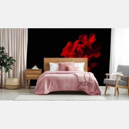 Fototapete rote plumeria auf schwarzem hintergrund – Pixers®