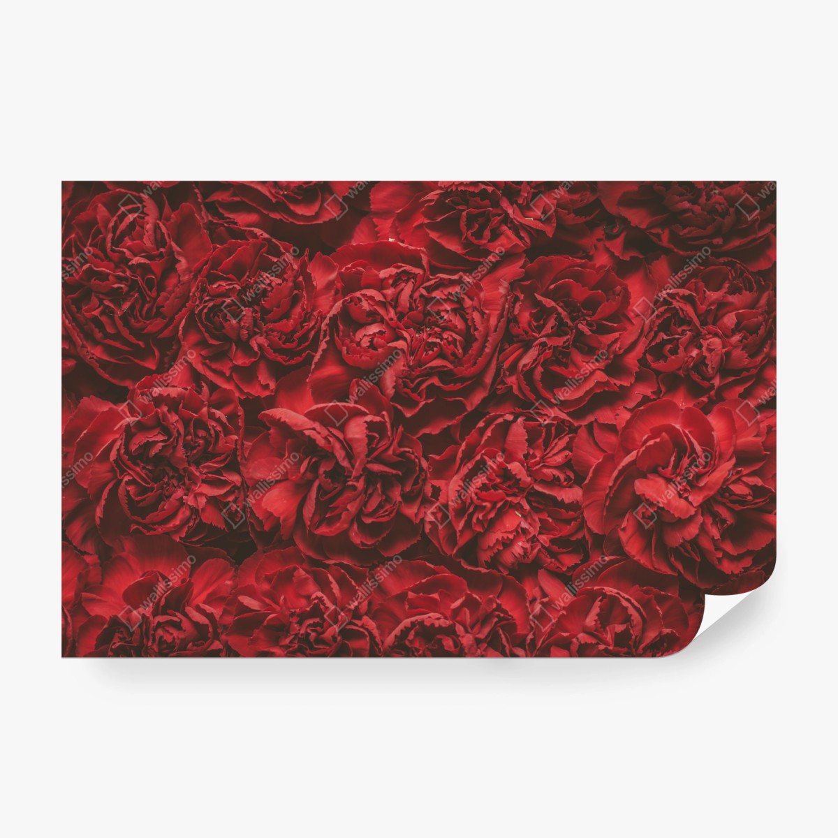 Fototapete vintage rote nelken blumenmuster – Pixers®