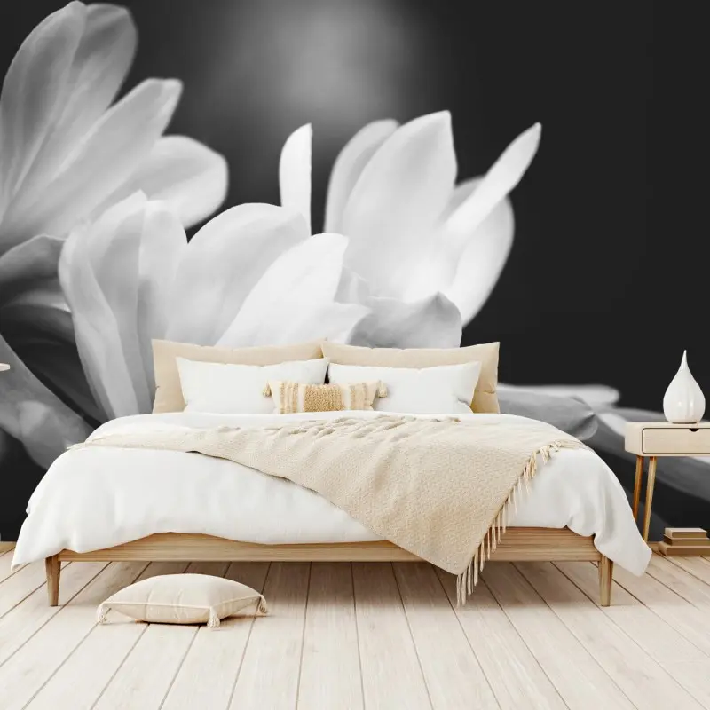 Fototapete schwarzweiß magnolienblüte nahaufnahme