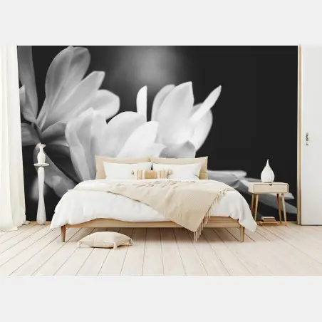 Fototapete schwarzweiß magnolienblüte nahaufnahme – Pixers®