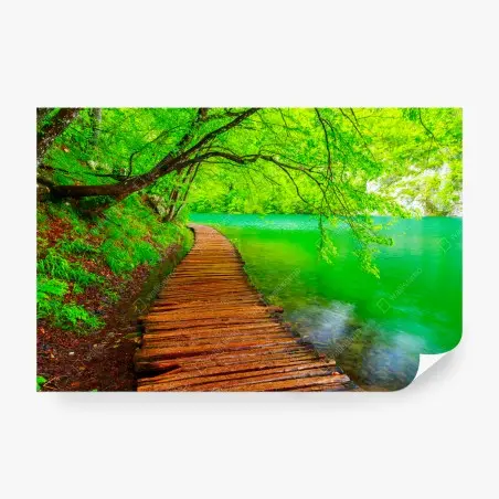 Fototapete ruhiger grüner steg am see – Pixers®