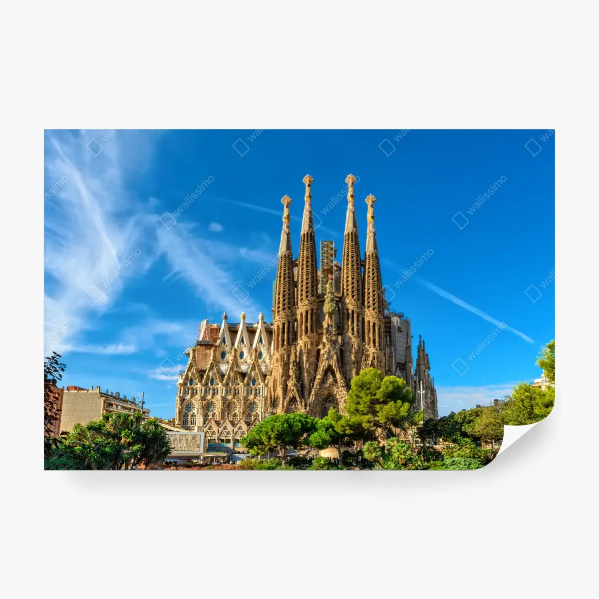 Fototapete Sagrada Familia in Barcelona – Pixers®