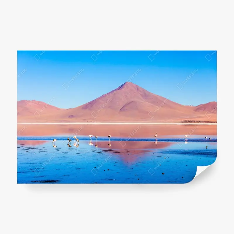 Fototapete flamingos am Laguna Colorada, Bolivien