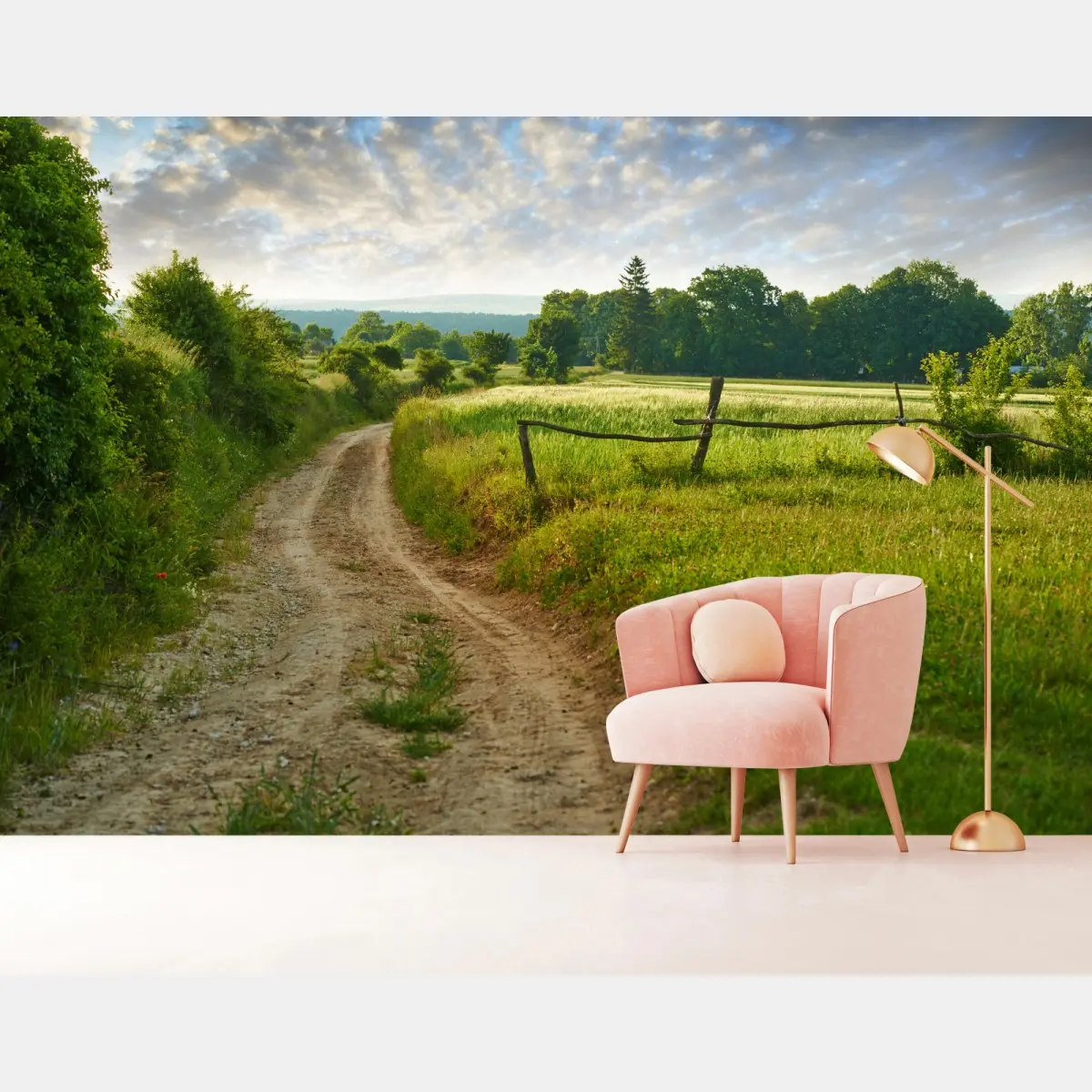 Fototapete sonniger landweg durch grüne wiesen – Pixers®