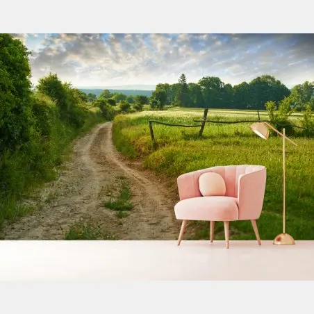 Fototapete sonniger landweg durch grüne wiesen – Pixers®