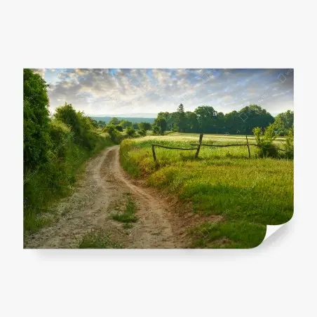 Fototapete sonniger landweg durch grüne wiesen – Pixers®
