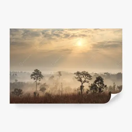 Fototapete Thailand sawanne bei sonnenaufgang – Pixers®
