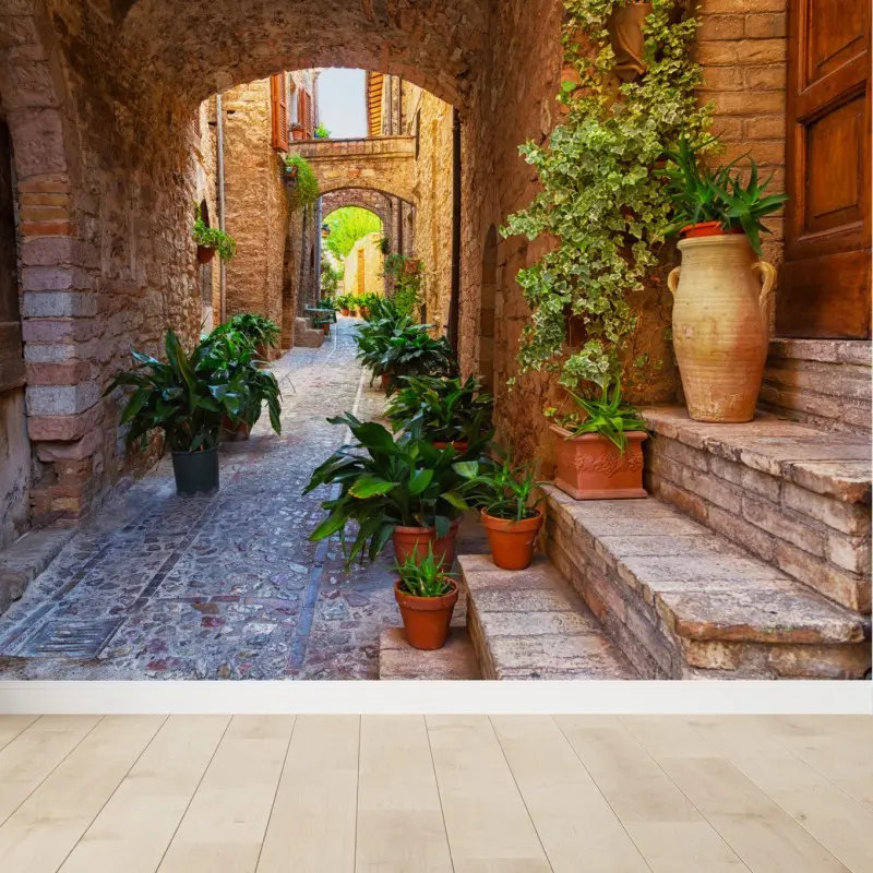 Fototapete sonnige gasse mit blumentöpfen in Spello