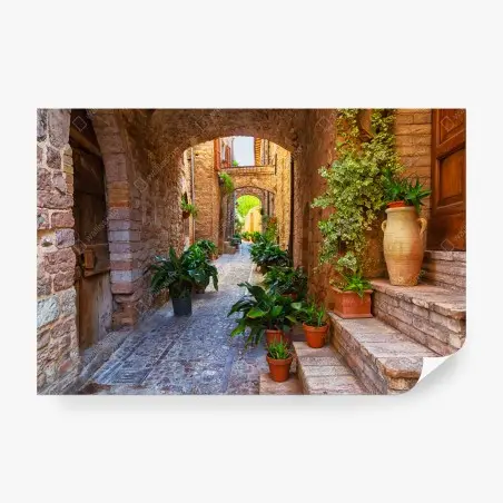 Fototapete sonnige gasse mit blumentöpfen in Spello – Pixers®