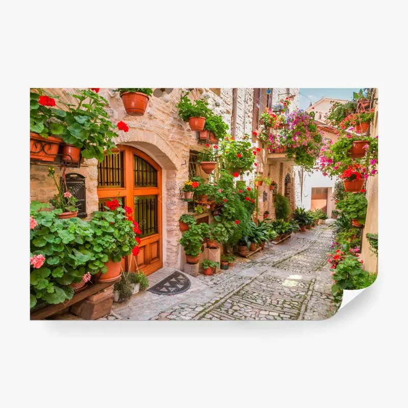 Fototapete sonnige gasse in Italien mit blühenden töpfen