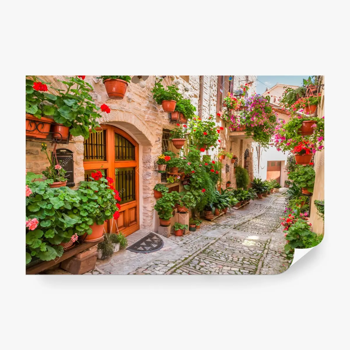 Fototapete sonnige gasse in Italien mit blühenden töpfen – Pixers®