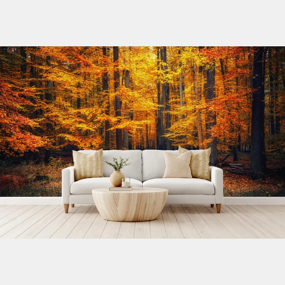 Fototapete herbstlicher waldpfad mit goldenen blättern – Pixers®