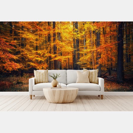 Fototapete herbstlicher waldpfad mit goldenen blättern – Pixers®