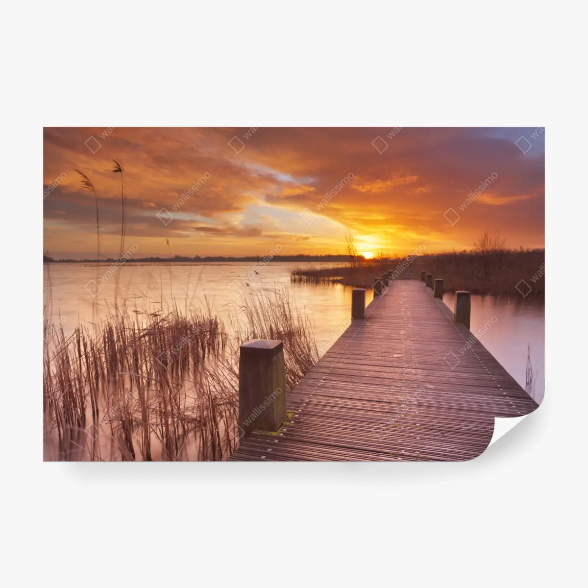 Fototapete sonnenaufgang über dem see bei Amsterdam – Pixers®