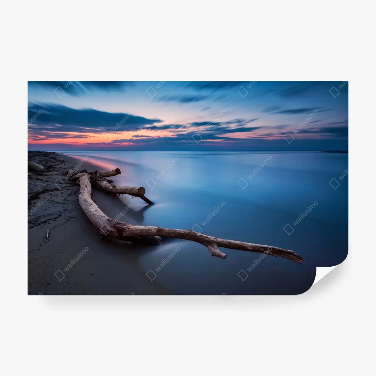 Fototapete treibholz bei dämmerung am ruhigen strand – Pixers®