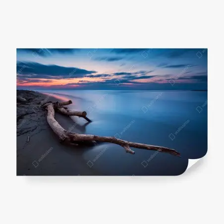 Fototapete treibholz bei dämmerung am ruhigen strand – Pixers®