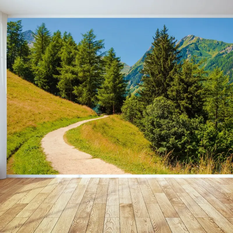 Fototapete bergweg in den Schweizer Alpen im Sommer