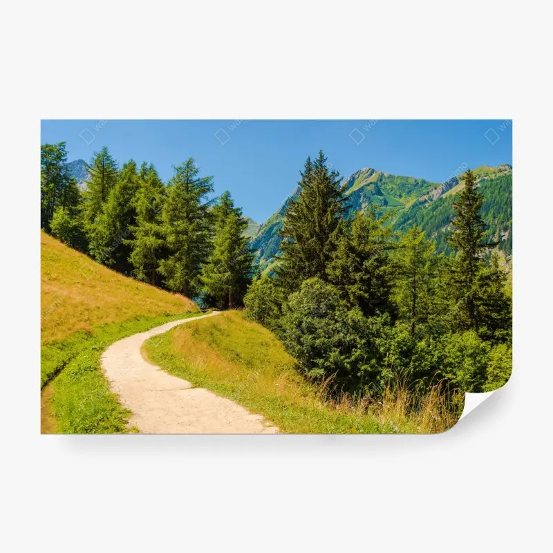 Fototapete bergweg in den Schweizer Alpen im Sommer