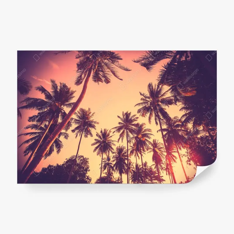 Fototapete vintage tropischer sonnenuntergang mit palmen