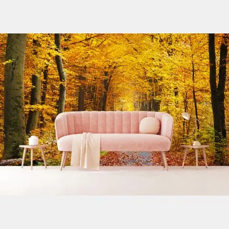 Fototapete goldener herbstwald pfad – Pixers®
