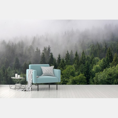 Fototapete nebliger immergrüner wald panorama – Pixers®