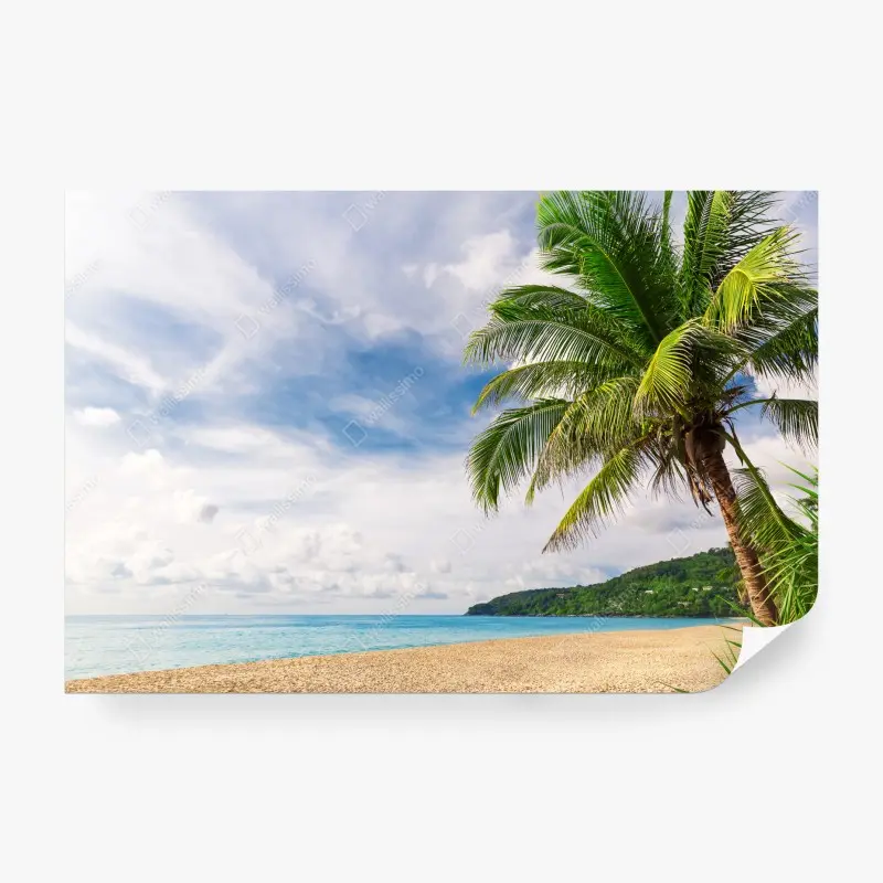 Fototapete tropischer strand in Phuket mit palme