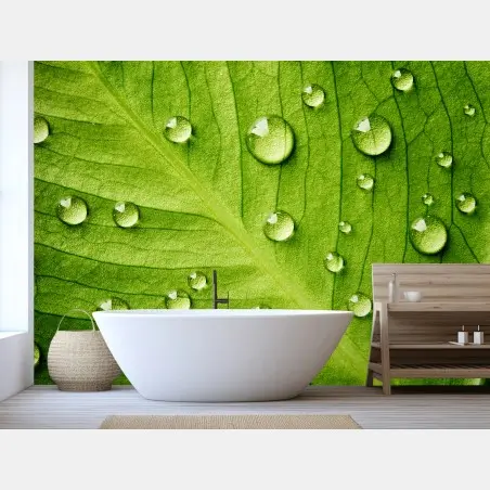 Fototapete frisches grünes blatt mit wassertropfen – Pixers®