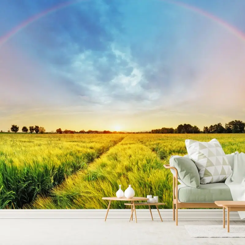 Fototapete regenbogen über goldenem weizenfeld bei sonnenuntergang