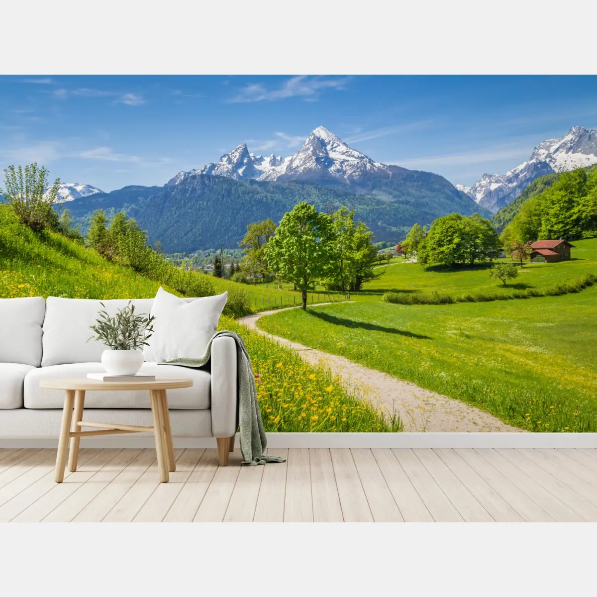 Fototapete alpine frühlingswiese mit schneebedeckten gipfeln – Pixers®