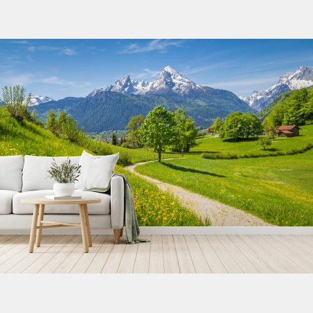Fototapete alpine frühlingswiese mit schneebedeckten gipfeln – Pixers®