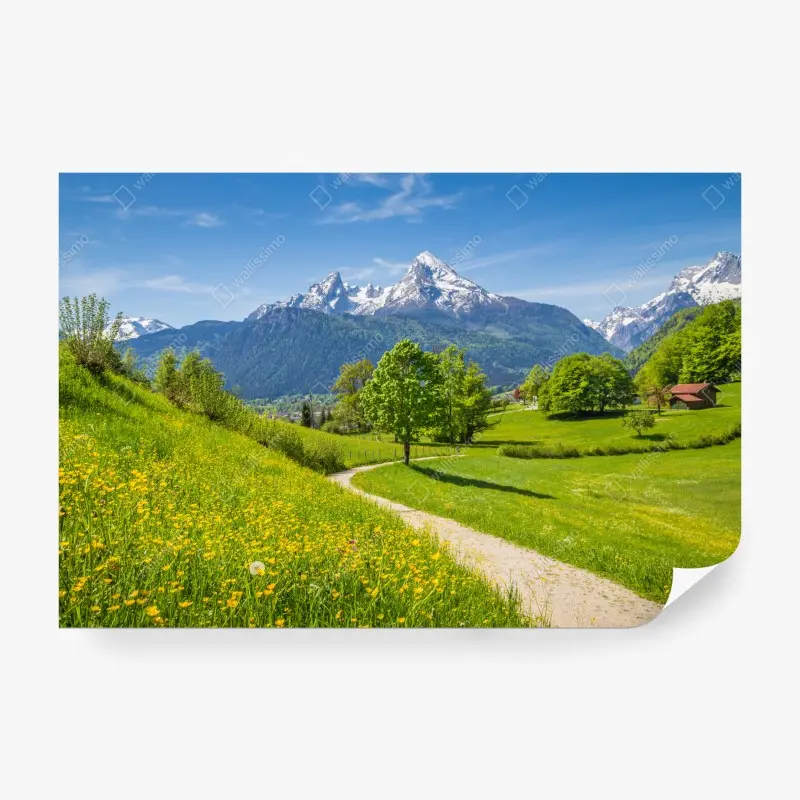 Fototapete alpine frühlingswiese mit schneebedeckten gipfeln