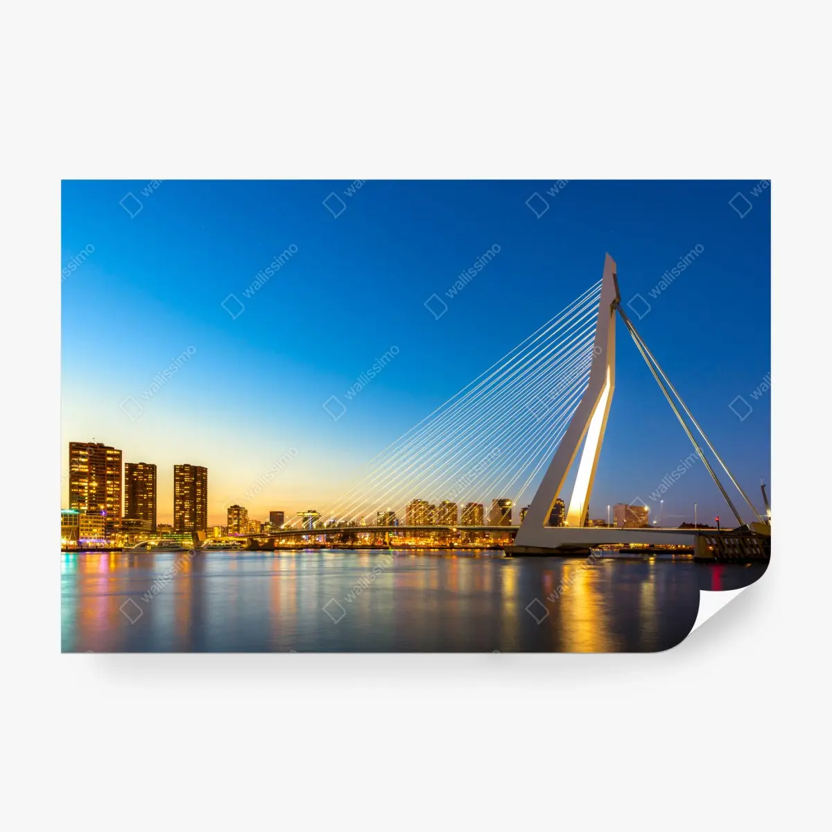 Fototapete Rotterdam Erasmusbrücke bei dämmerung – Pixers®