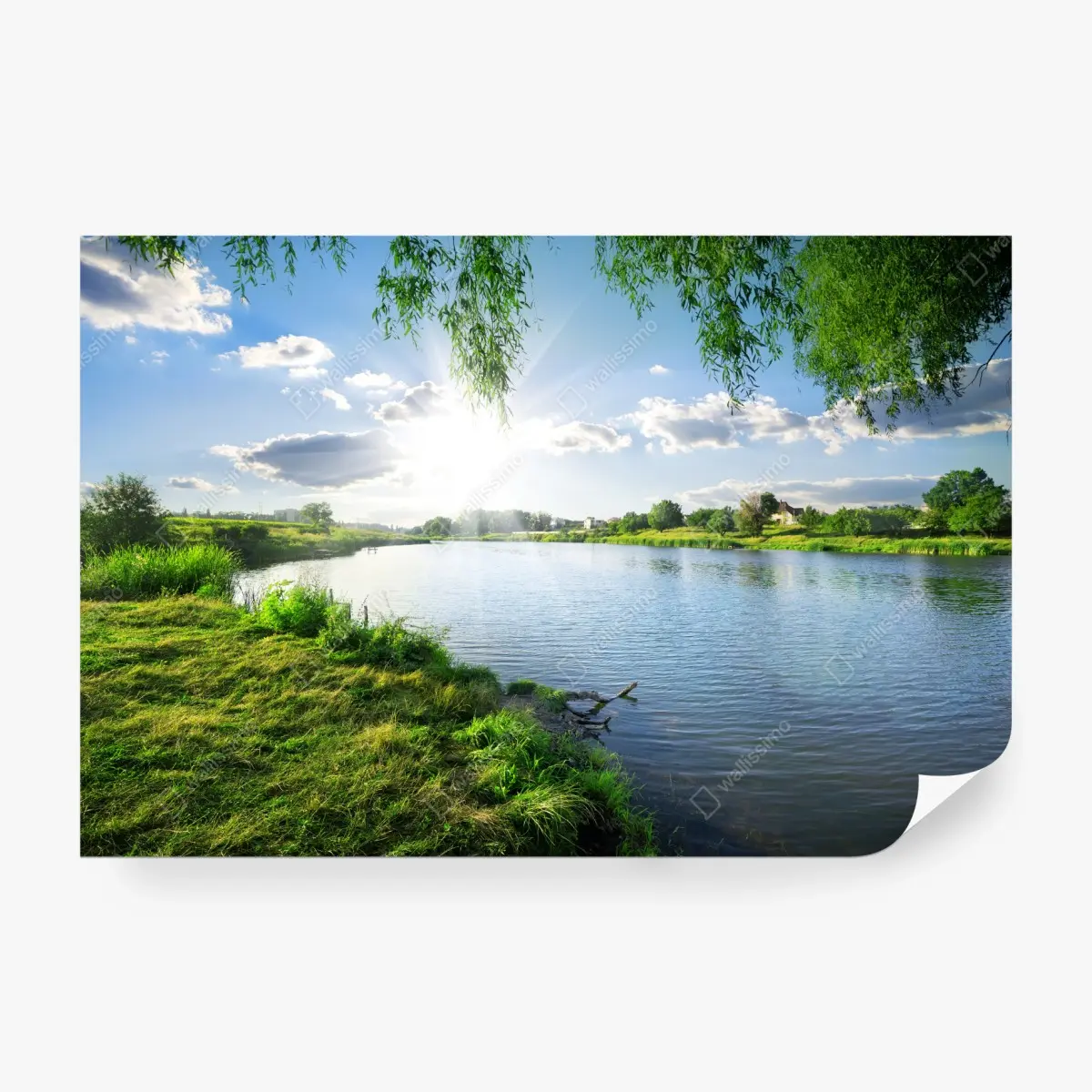 Fototapete sonnenbeschienenes flussufer mit üppigem grün – Pixers®