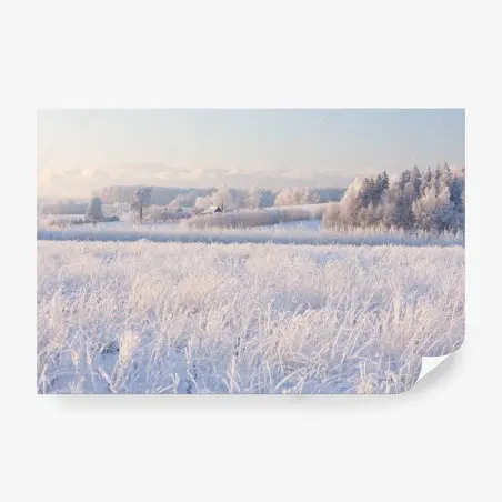 Fototapete wiese mit reif im morgenlicht – Pixers®