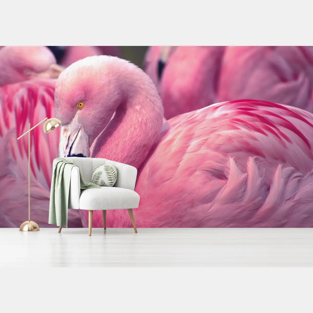 Fototapete rosa flamingo nahaufnahme – Pixers®