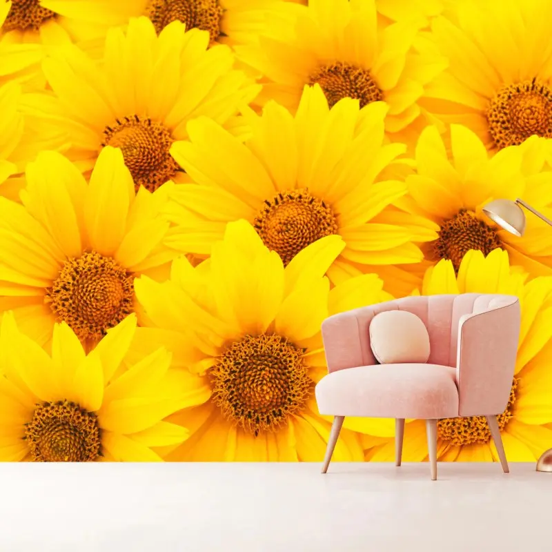 Fototapete leuchtende gelbe sonnenblumen in nahaufnahme