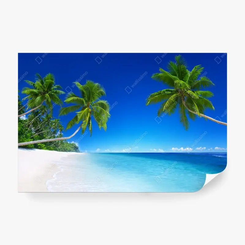 Fototapete tropischer strand mit palmen