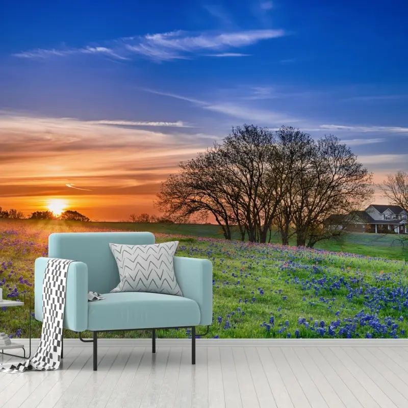 Fototapete Texas wiese mit bluebonnets im sonnenaufgang
