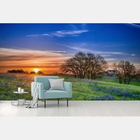 Fototapete Texas wiese mit bluebonnets im sonnenaufgang – Pixers®