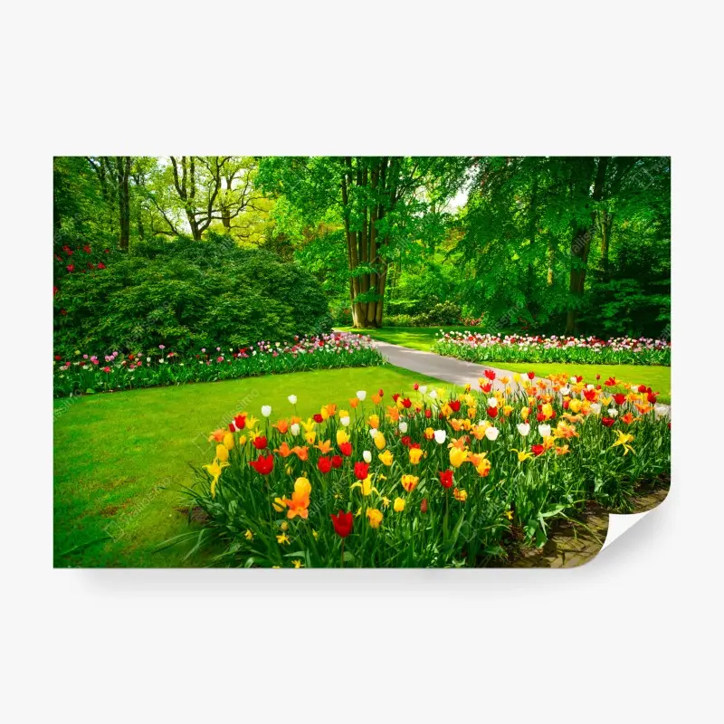 Fototapete lebendiger tulpengarten in Keukenhof