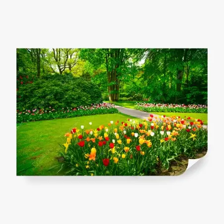 Fototapete lebendiger tulpengarten in Keukenhof – Pixers®