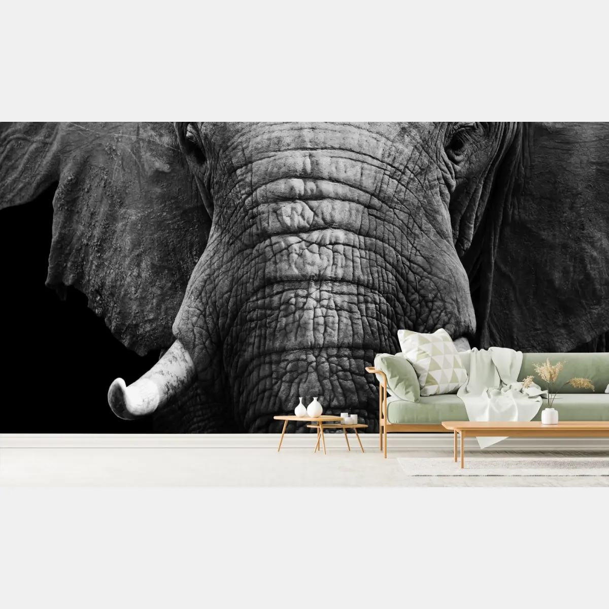 Fototapete majestätisches elefantenporträt – Pixers®