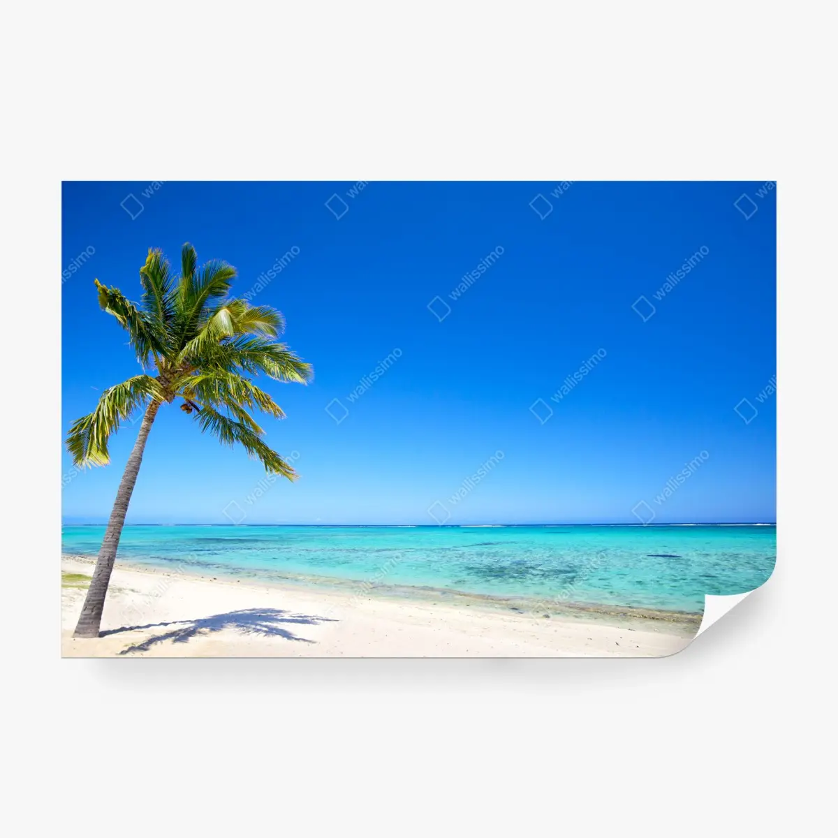 Fototapete tropischer traumstrand mit palme – Pixers®