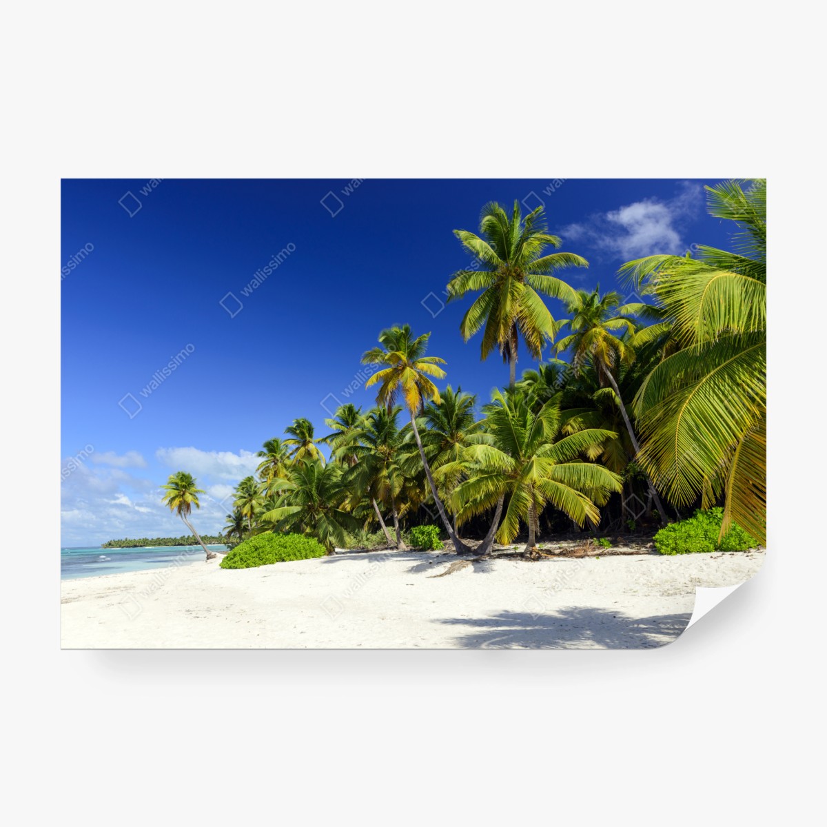 Fototapete ruhiger tropischer strand in Punta Cana – Pixers®