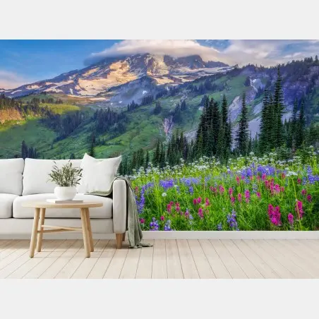 Fototapete alpine blumenwiese vor schneebedeckten bergen – Pixers®